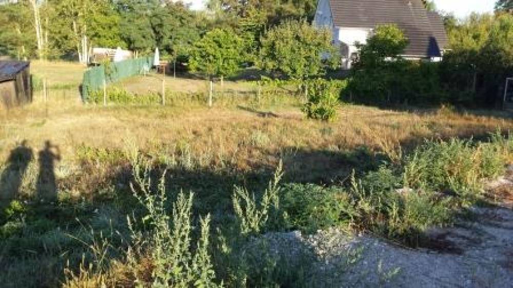 OBERHOFFEN-SUR-MODER: Terrain de 5 ares
